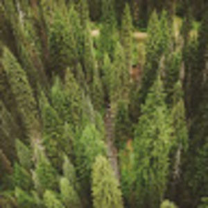 Meet your Posher, Zach